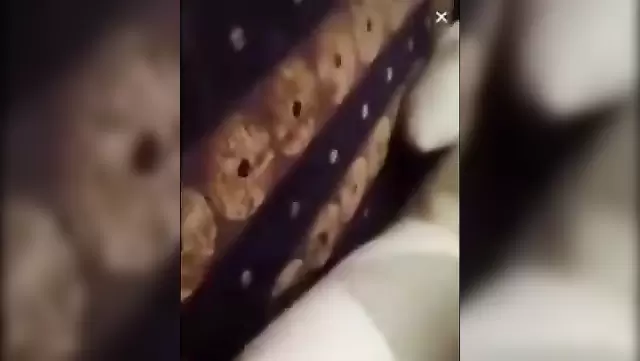 Komşuyla Türk Amatör Porno